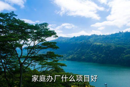 在家辦廠致富好項目，在家辦廠什么項目好一些