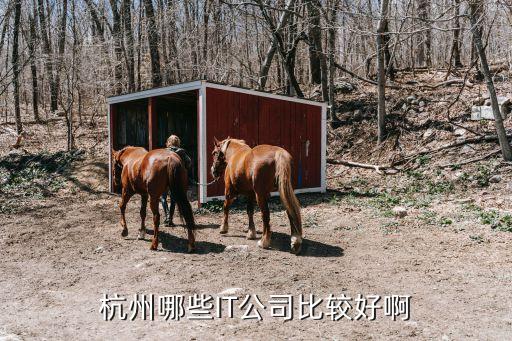 杭州人工智能公司排行，浙江IT業(yè)有名氣的企業(yè)
