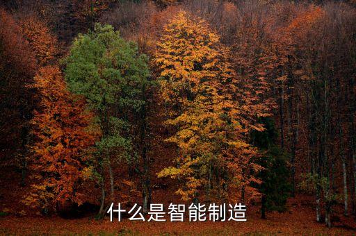 什么是智能制造