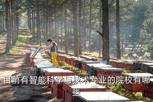 目前有智能科學(xué)與技術(shù)專業(yè)的院校有哪些