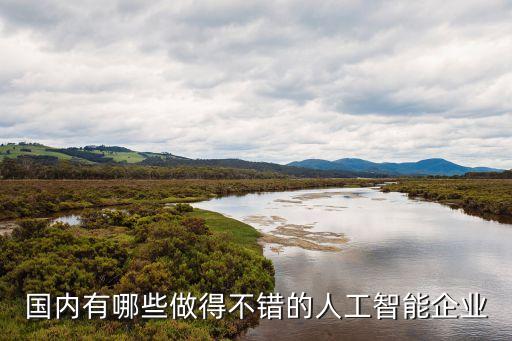 國(guó)內(nèi)人工智能龍頭公司排名，國(guó)內(nèi)都哪些比較牛的人工智能公司