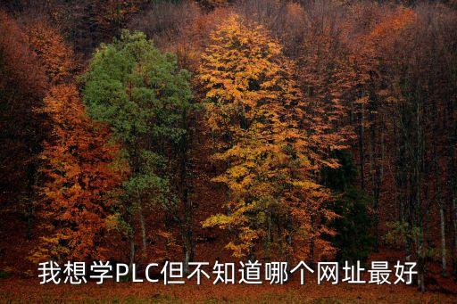 我想學PLC但不知道哪個網(wǎng)址最好