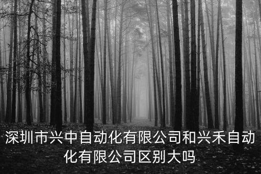 深圳市興中自動(dòng)化有限公司和興禾自動(dòng)化有限公司區(qū)別大嗎