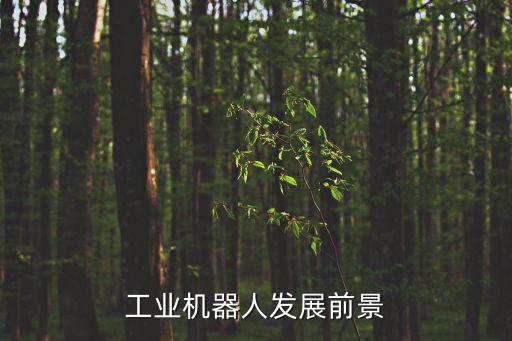 工業(yè)機(jī)器人發(fā)展方向和前景，工業(yè)機(jī)器人的發(fā)展方向