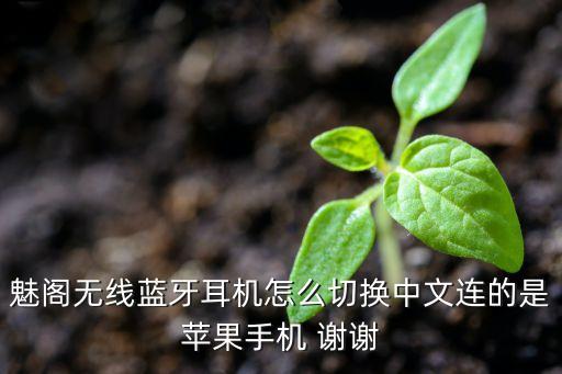 openai怎么切中文，虛擬主機(jī)語言如何切換