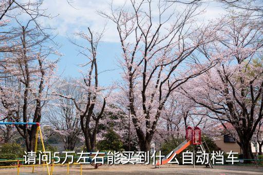 5萬豐田小轎車自動擋，豐田車系列自動擋轎車的報價 省點油的最好