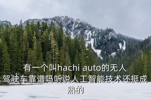 華依科技自動(dòng)駕駛，有一個(gè)叫hachi auto的無(wú)人駕駛車靠譜嗎聽(tīng)說(shuō)人工智能技術(shù)還挺成熟的