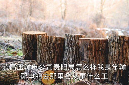 超高壓輸電公司貴陽局怎么樣我是學(xué)輸配電的去那里會(huì)從事什么工