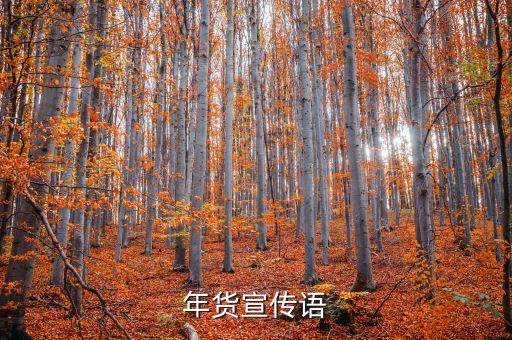 年貨推廣廣告語怎么寫，想要關于以年貨為主題的廣告語要有創(chuàng)意新穎急急急