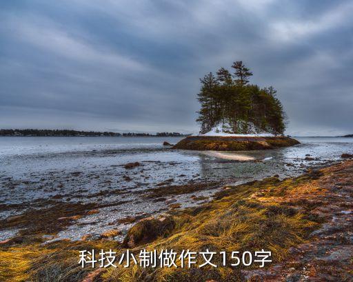科技小制做作文150字