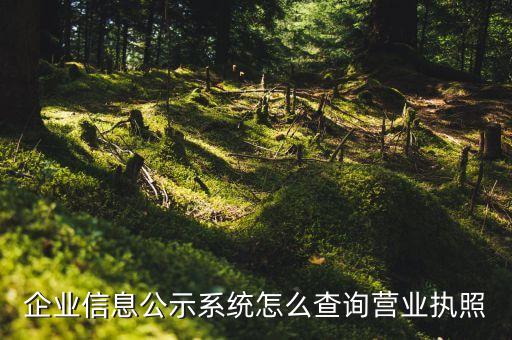 企業(yè)信息公示系統(tǒng)怎么查詢營業(yè)執(zhí)照