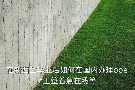 在新西蘭畢業(yè)后如何在國(guó)內(nèi)辦理open工簽著急在線(xiàn)等