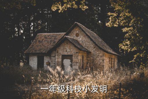 一年級科技小制作簡單的飛鏢，小學一年級的科技小制作