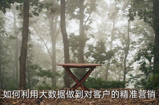 精準(zhǔn)數(shù)據(jù)營銷方案，怎樣運(yùn)用大數(shù)據(jù)進(jìn)行精準(zhǔn)營銷