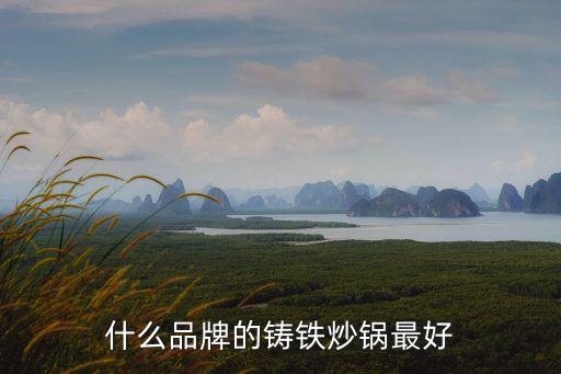 鑄鐵電炒鍋品牌排行榜前十名，行買個鑄鐵炒鍋哪個牌子質(zhì)量好點啊