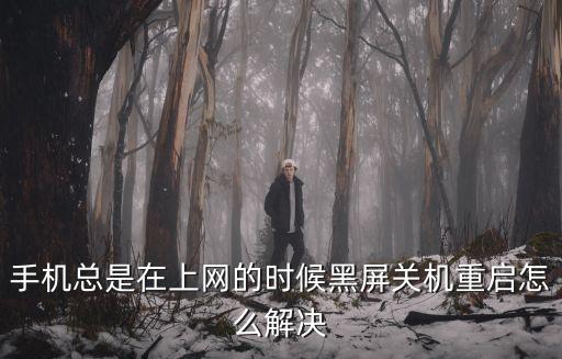 手機總是在上網(wǎng)的時候黑屏關(guān)機重啟怎么解決