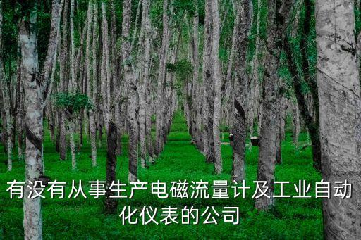 有沒有從事生產(chǎn)電磁流量計(jì)及工業(yè)自動(dòng)化儀表的公司