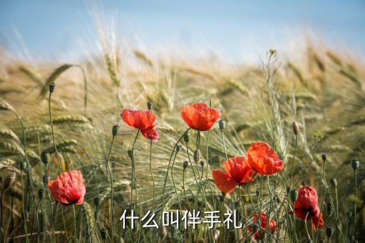什么叫伴手禮