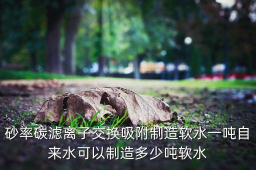 砂率碳濾離子交換吸附制造軟水一噸自來水可以制造多少噸軟水