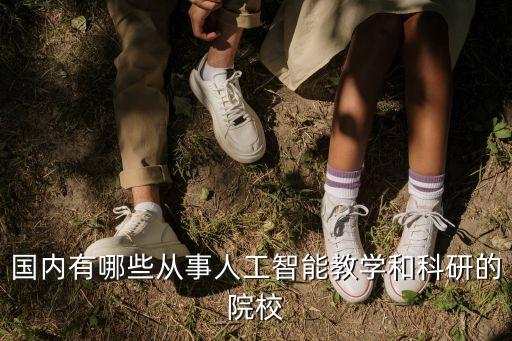 國內(nèi)有哪些從事人工智能教學(xué)和科研的院校