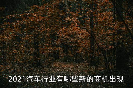 2021汽車行業(yè)有哪些新的商機出現(xiàn)
