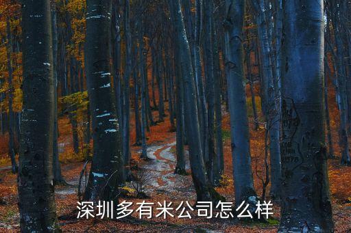 深圳多有米公司怎么樣