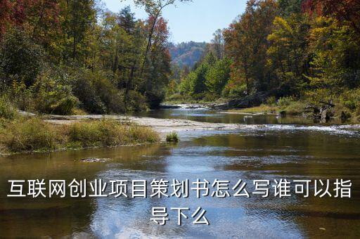 互聯(lián)網(wǎng)創(chuàng)業(yè)項目策劃書怎么寫誰可以指導(dǎo)下么