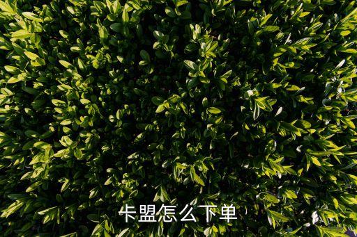 卡盟怎么下單