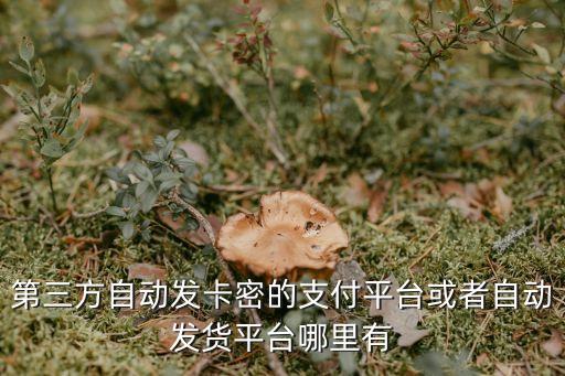 第三方自動(dòng)發(fā)卡密的支付平臺(tái)或者自動(dòng)發(fā)貨平臺(tái)哪里有