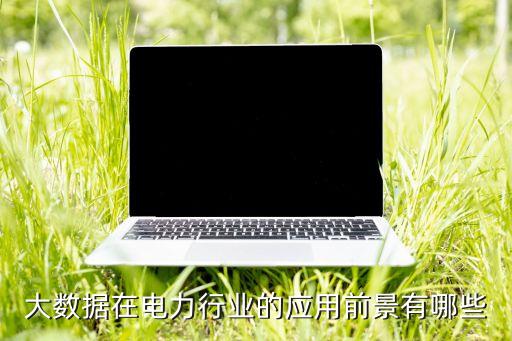 大數(shù)據(jù)在電力行業(yè)的應(yīng)用前景有哪些