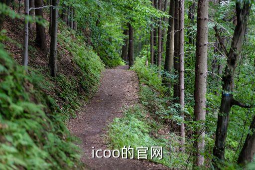 icoo的官網(wǎng)