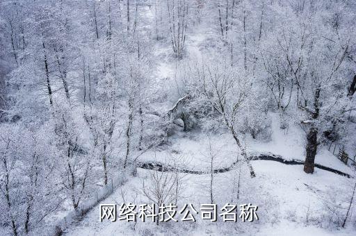 網(wǎng)絡(luò)科技公司名稱