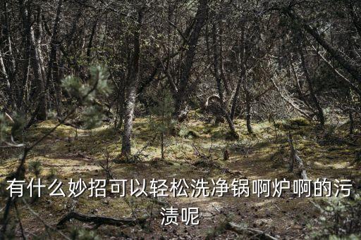 有什么妙招可以輕松洗凈鍋啊爐啊的污漬呢