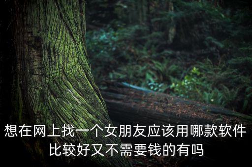 找女朋友最好的軟件免費聊天，什么軟件好找情人