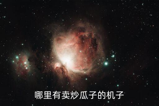 哪里有賣炒瓜子的機子