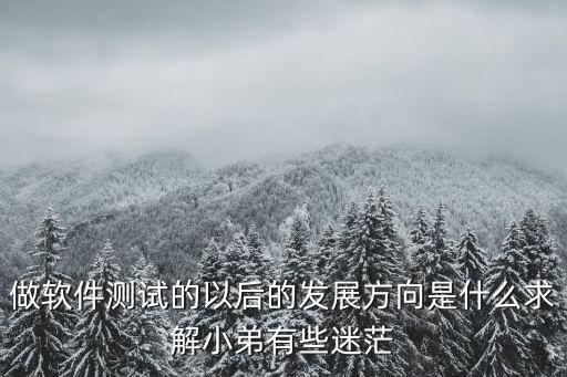 軟件測試40歲以后出路，做軟件測試的以后的發(fā)展方向是什么求解小弟有些迷茫
