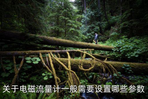 關(guān)于電磁流量計(jì)一般需要設(shè)置哪些參數(shù)