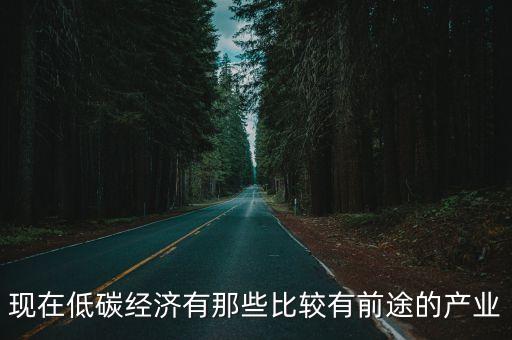 現在低碳經濟有那些比較有前途的產業(yè)
