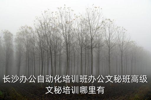 成人辦公自動(dòng)化培訓(xùn)班，銀川哪里有成人計(jì)算機(jī)培訓(xùn)班
