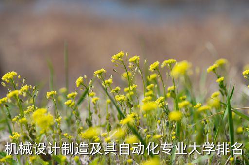 浙江大學自動化專業(yè)排名，浙江大學機械工程及自動化專業(yè)排名