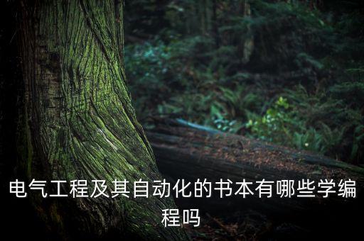 電氣工程及其自動化專業(yè)課本，電氣工程及其自動化專業(yè)課教材