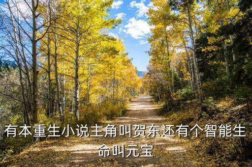 有本重生小說主角叫賀東還有個智能生命叫元寶