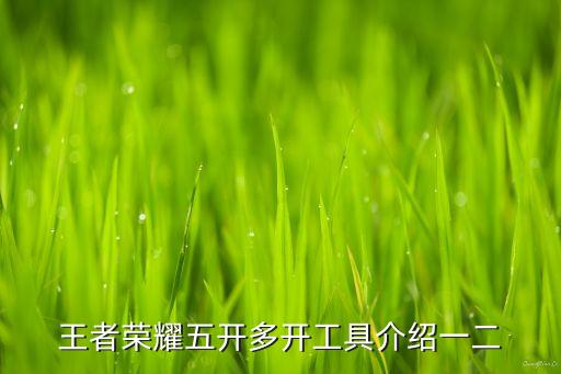 王者榮耀五開(kāi)多開(kāi)工具介紹一二