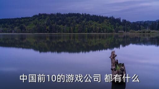 北京游戲公司排行榜前十名，北京游戲公司哪比較好