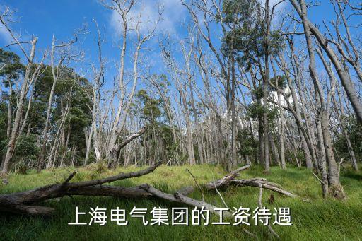 上海電氣工資待遇怎么樣，上海電氣工程師的工資多少本人工作不滿3年雙專學(xué)歷不會(huì)