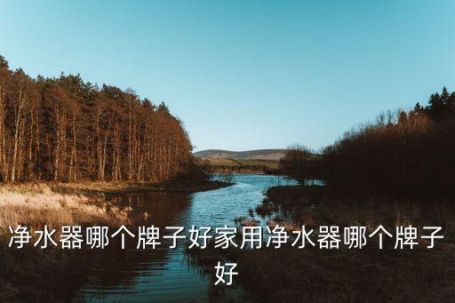 凈水器哪個牌子好家用凈水器哪個牌子好