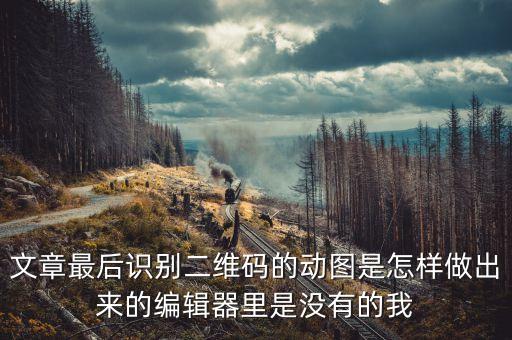 文章最后識別二維碼的動(dòng)圖是怎樣做出來的編輯器里是沒有的我