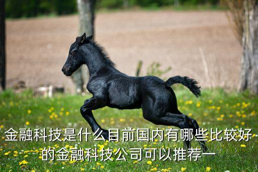 對(duì)金融科技的理解和認(rèn)識(shí)，純粹的金融科技行業(yè)分析通俗易懂最好