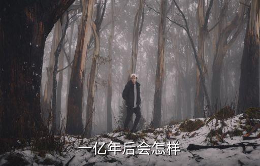 一億年后會(huì)怎樣
