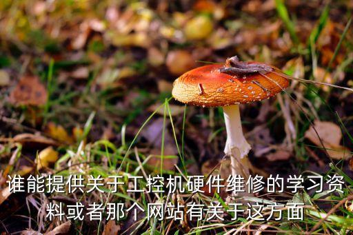 誰能提供關(guān)于工控機硬件維修的學(xué)習資料或者那個網(wǎng)站有關(guān)于這方面